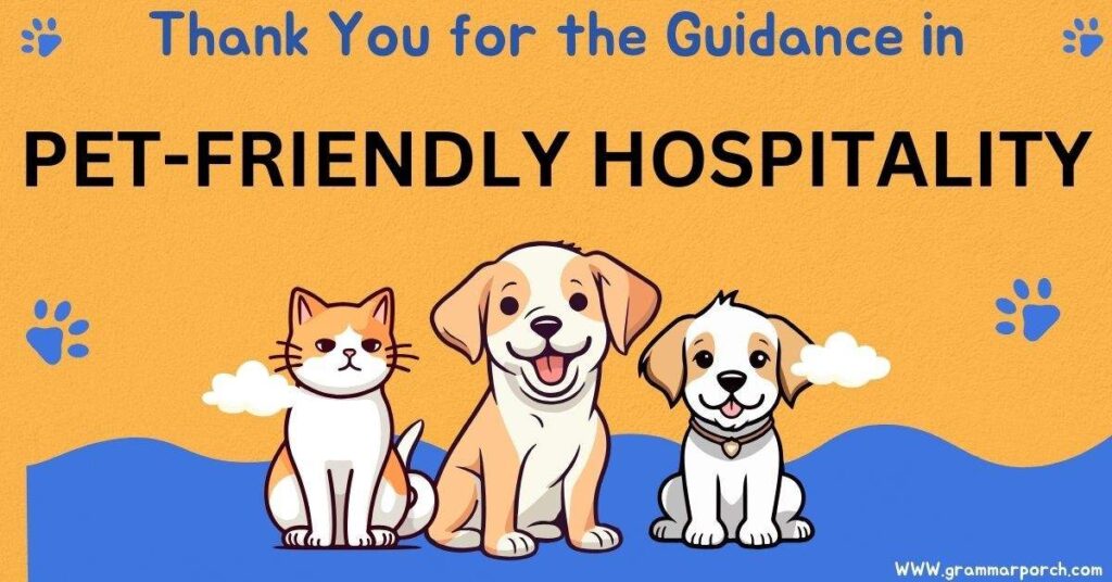 Thank You for the Guidance in Pet-Friendly Hospitality 