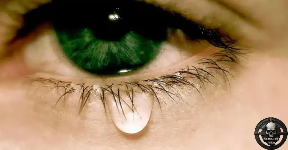 The Noun “Tear” (The Fluid Drop from the Eye)