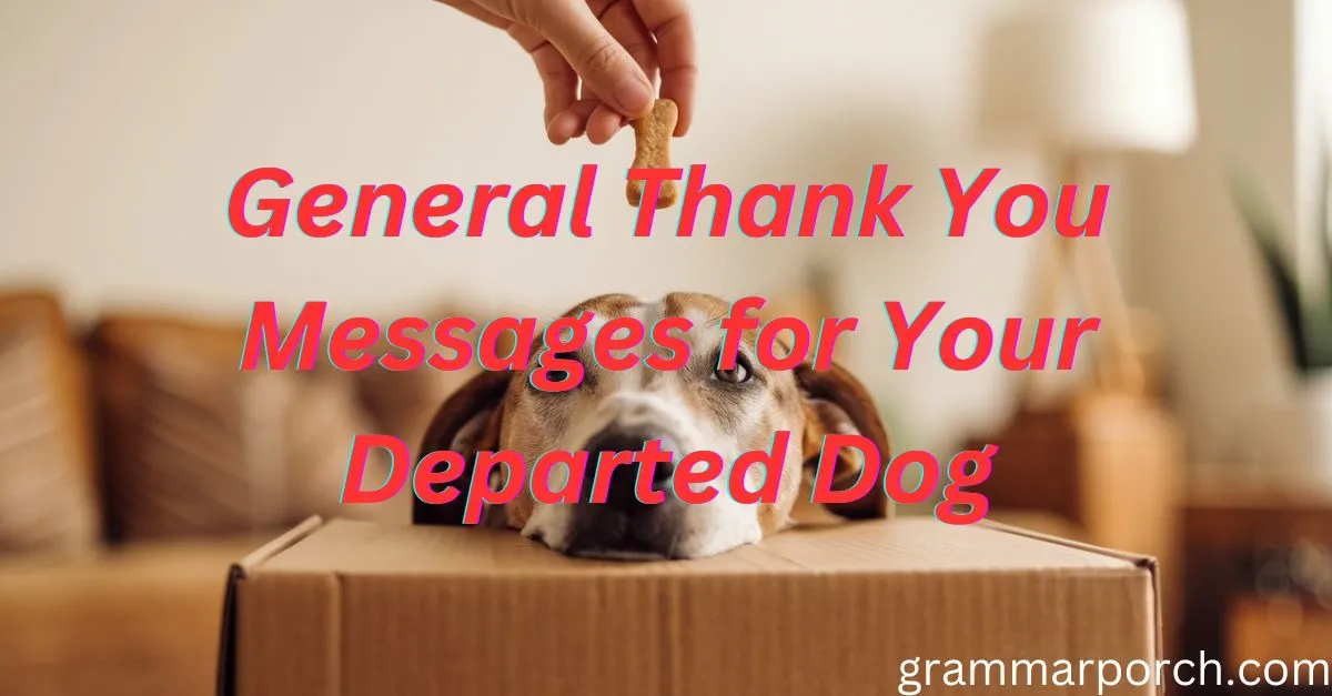 General Thank You Messages for Your Departed Dog