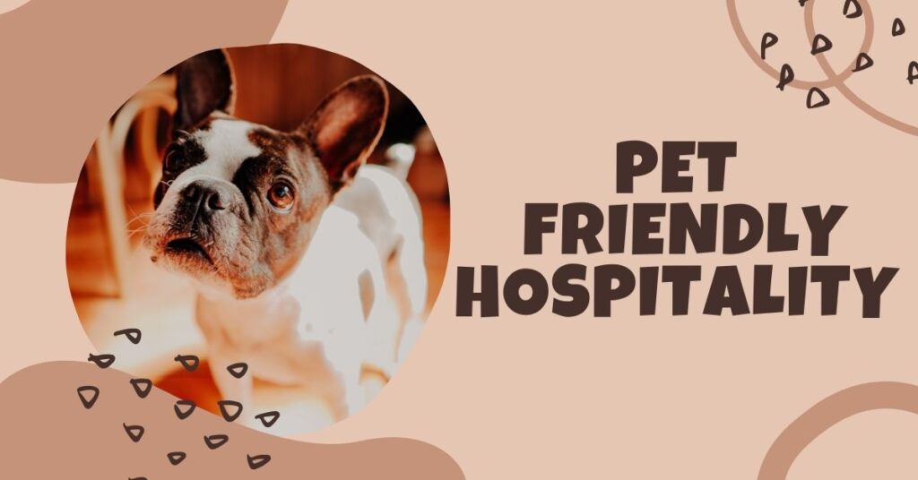 Pet-Friendly Hospitality 