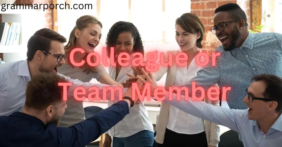 a Colleague or Team Member